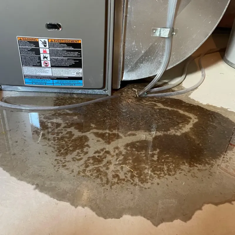 Appliance Leak Cleanup in Nyack, NY